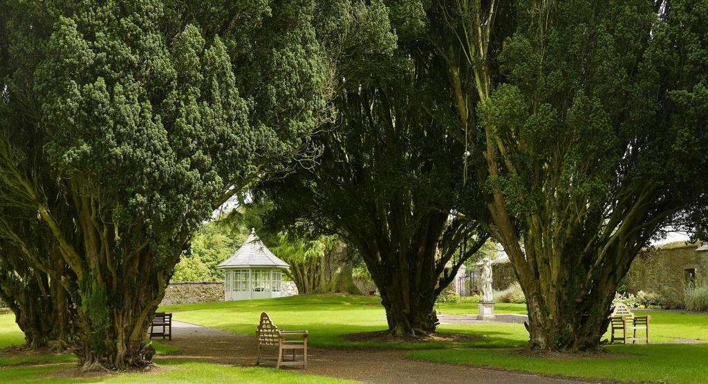 Tankardstown House 호텔 슬레인 외부 사진